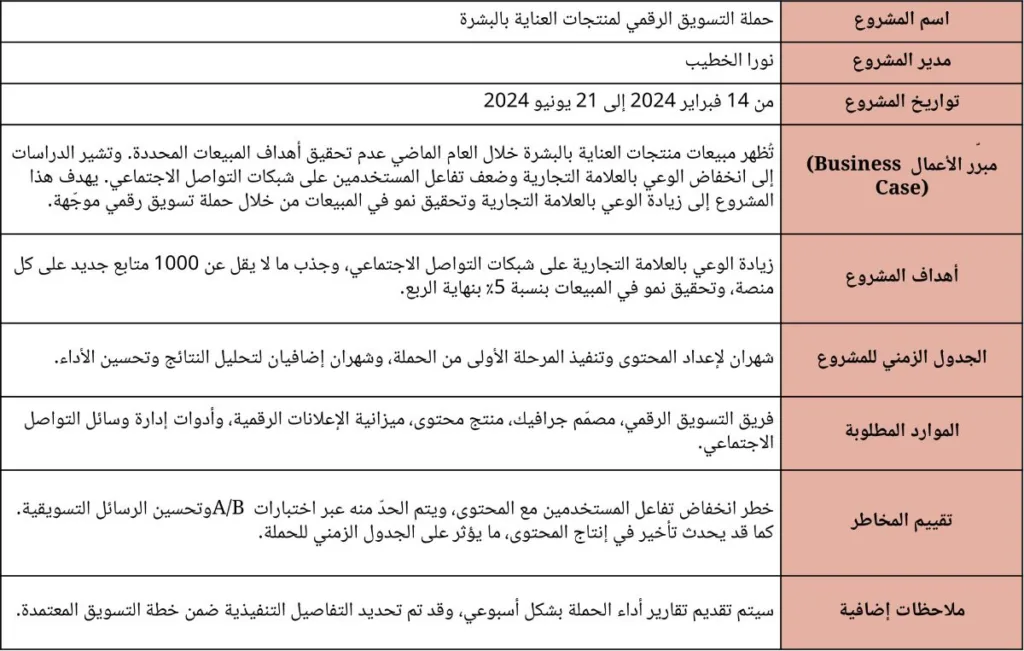 مثال على نظرة عامة على مشروع (Project Overview)
