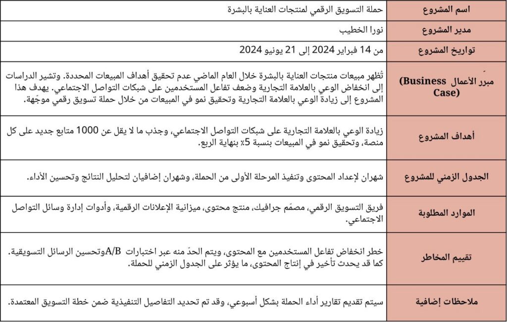 مثال على نظرة عامة على مشروع (Project Overview)