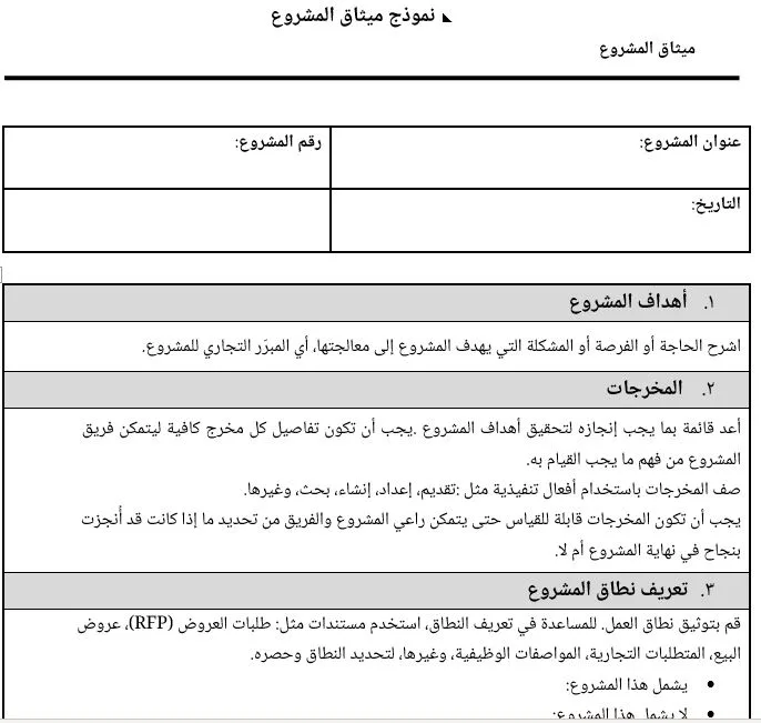 ميثاق المشروع
