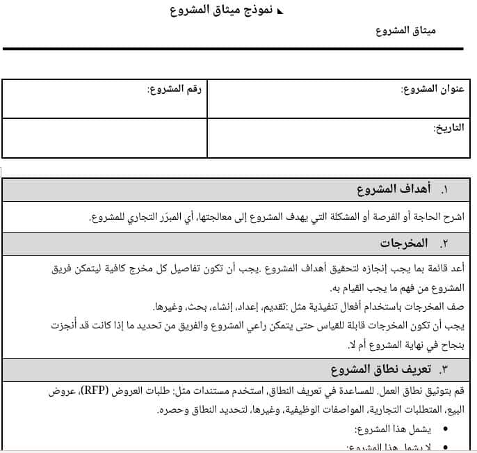 ميثاق المشروع
