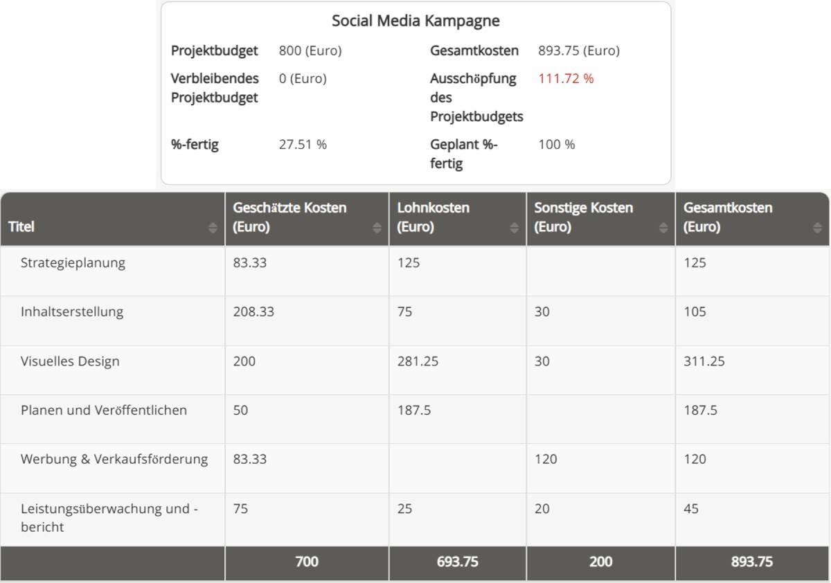 Ausreichendes Projektmanagement - Kosten- und Budgetmanagement