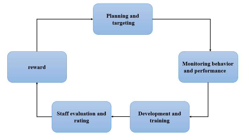 performance management process