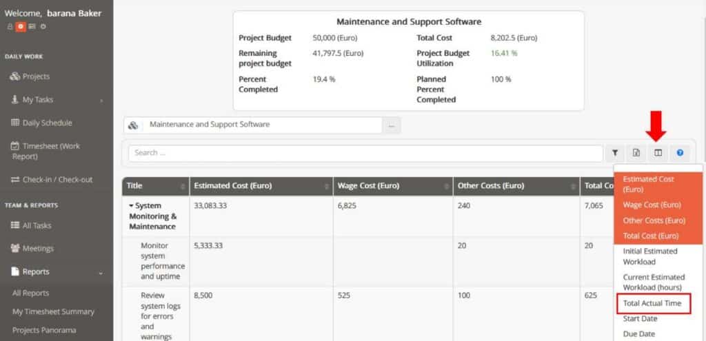 Total Actual Time in Project Costs Report